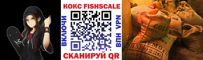 где купить наркоту  Строитель  Кокаин Fish Scale 