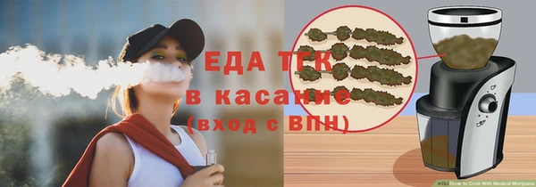 индика Новокубанск