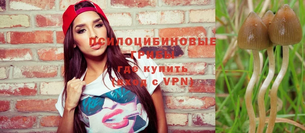 a pvp Арсеньев