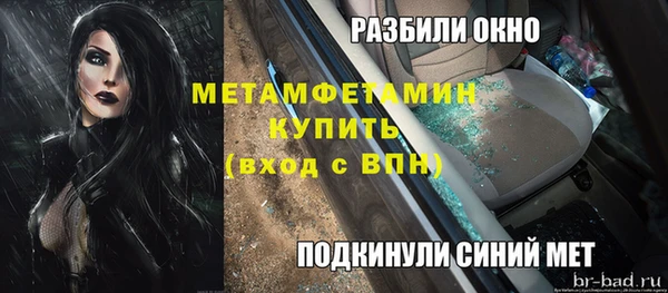 прущие грибы Армянск