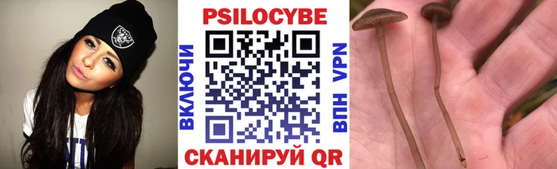 купить  цена  Строитель  Галлюциногенные грибы ЛСД 