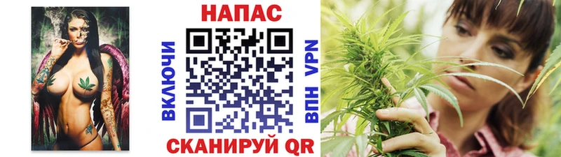 МАРИХУАНА SATIVA & INDICA Строитель